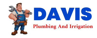 Trusted plumber in RICES LANDING