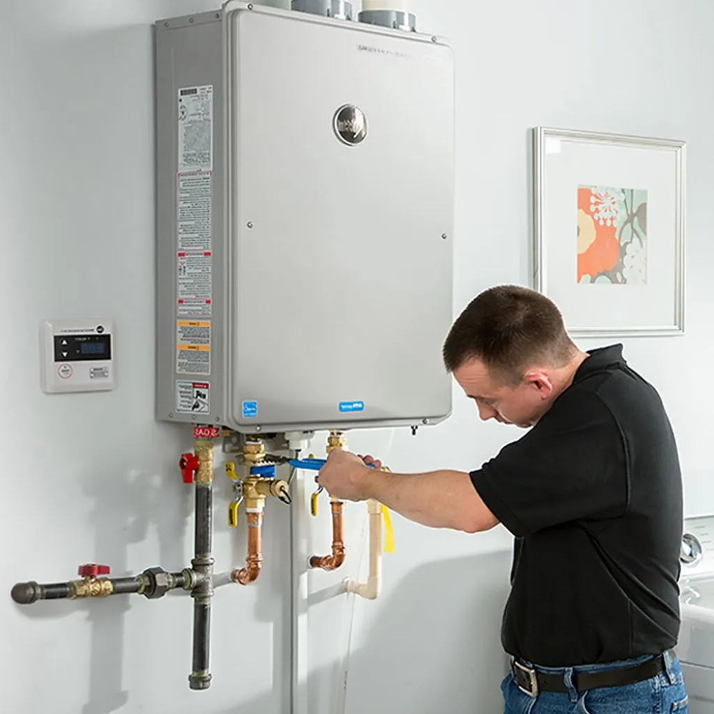 tankless water heater repair in Rices landing, PA